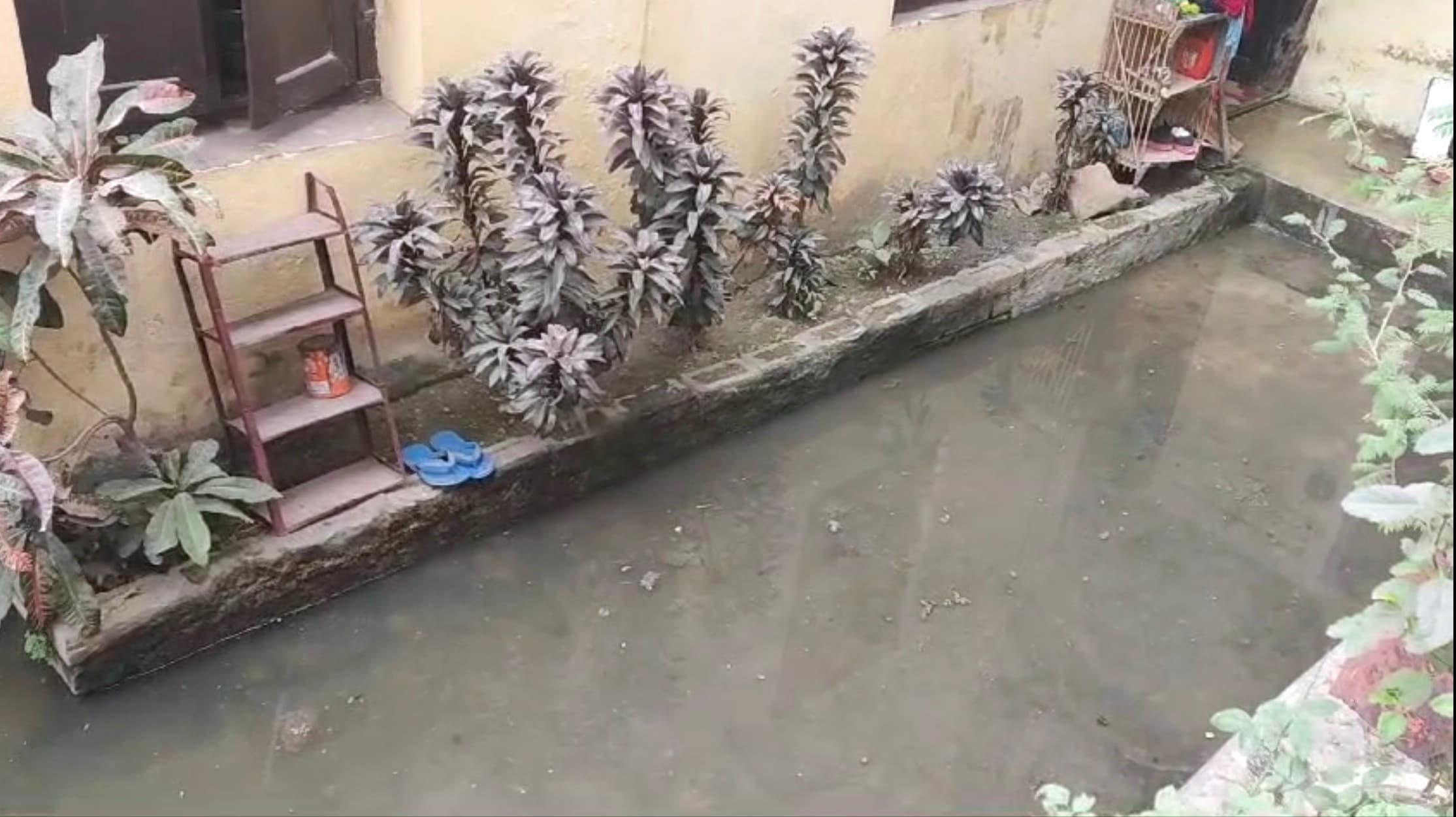 सीवरेज लाइन ध्वस्त होने से सप्ताह भर से घर में जमा पानी