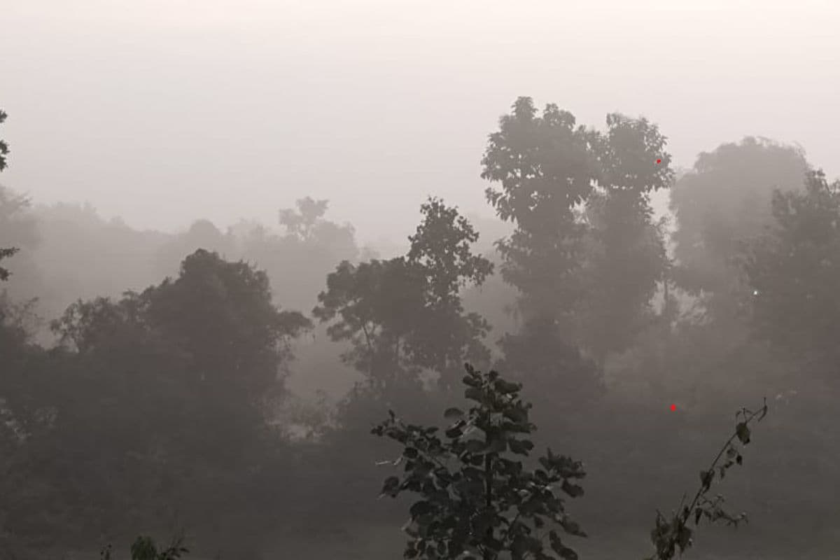 सुबह में छाया कोहरा