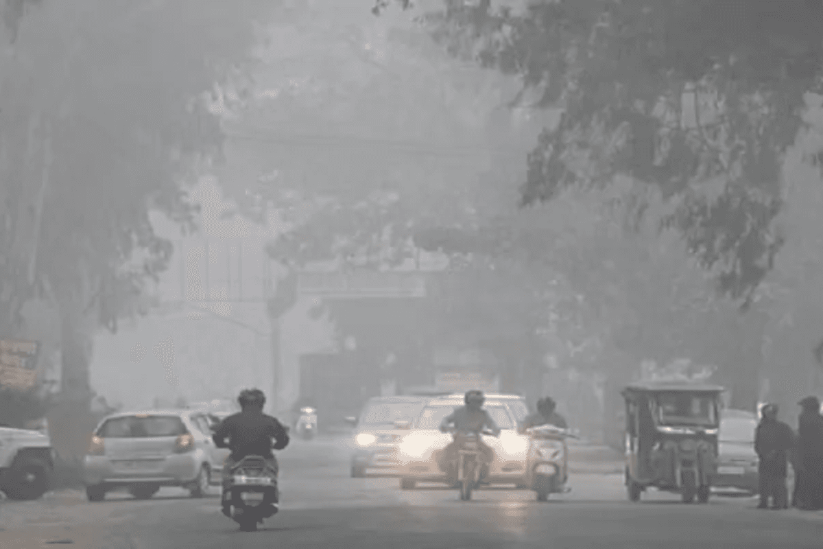 Muzaffarpur Weather: कोहरे ने बढ़ाई सिहरन, दिन में धूप से राहत, जानिए अगले 5 दिन तक कैसा रहेगा मौसम?