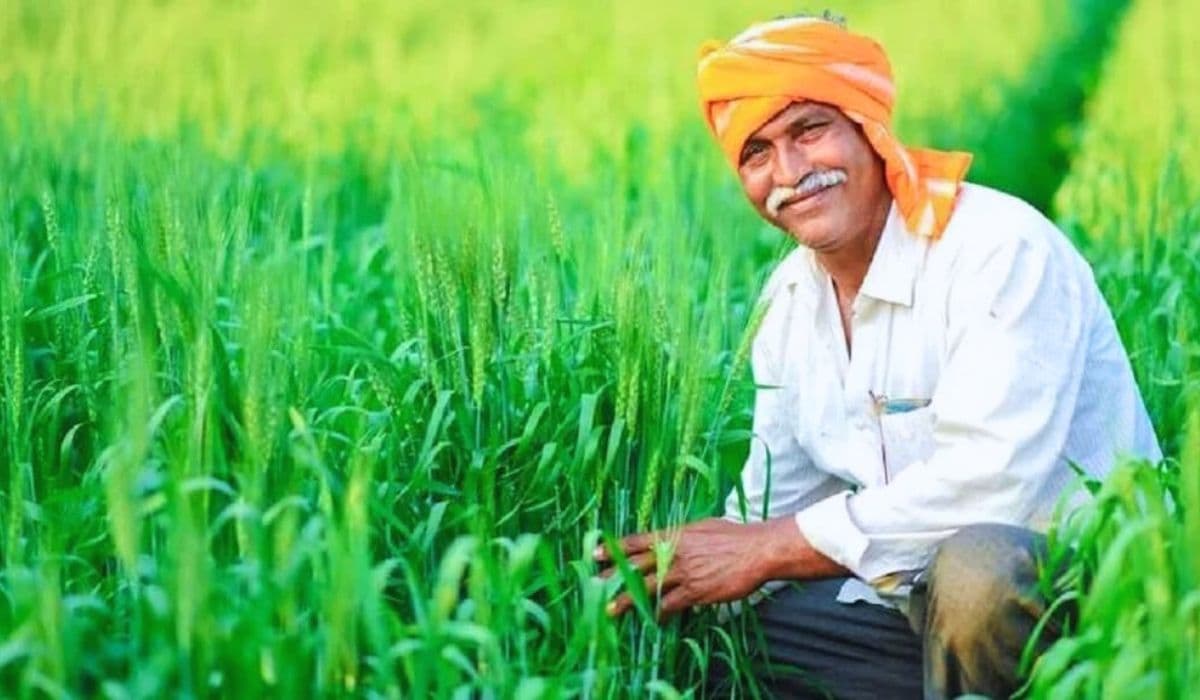 जल्द आ सकती है पीएम किसान की अगली किस्त, इन 3 जरूरी कार्यों को तुरंत करें पूरा