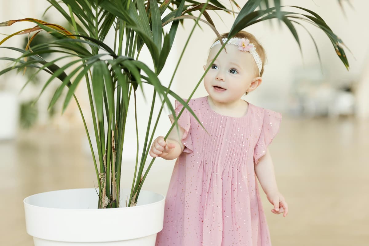 Baby Names: आपकी परियों सी बेटी के लिए ये हैं सबसे पॉपुलर और खूबसूरत नाम, डालें लिस्ट पर एक नजर