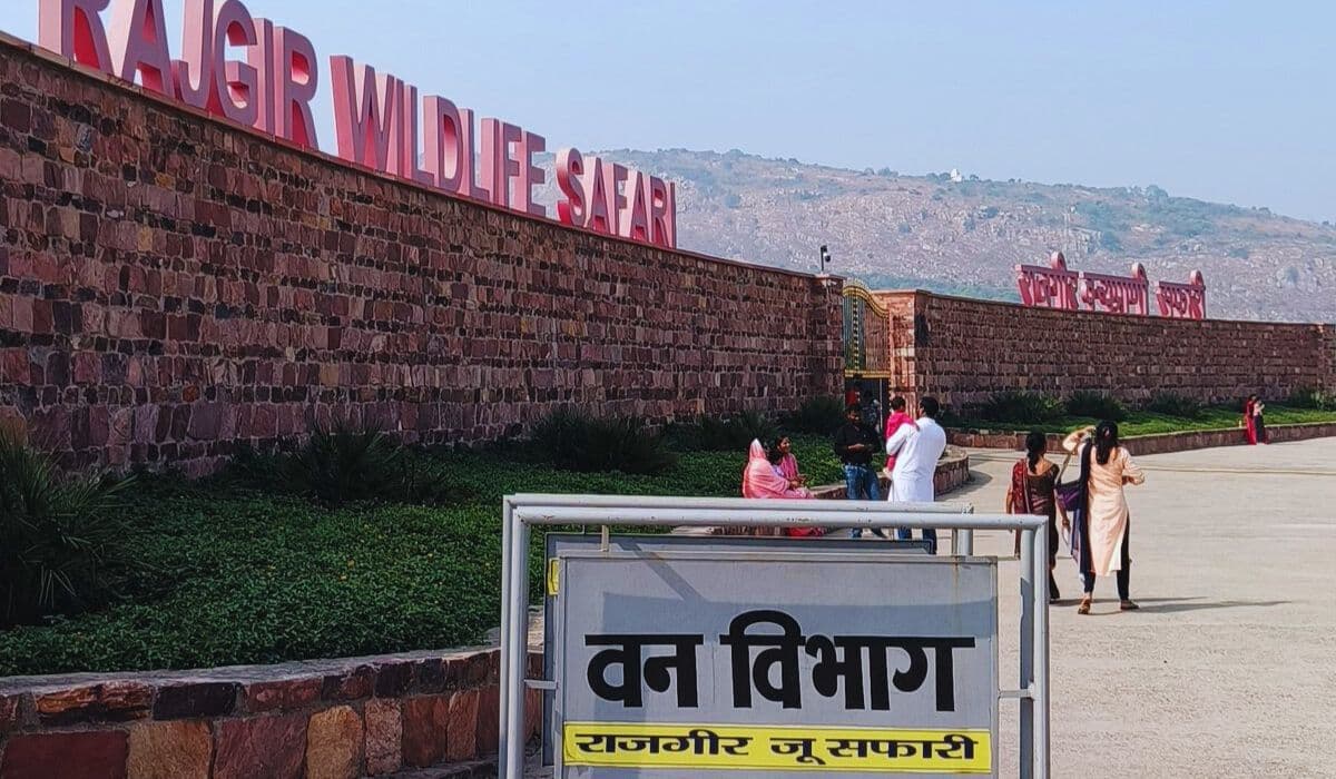 नए साल पर राजगीर का जू सफारी और नेचर सफारी रहेगा बंद, जानिए क्या-क्या रहेगा खुला