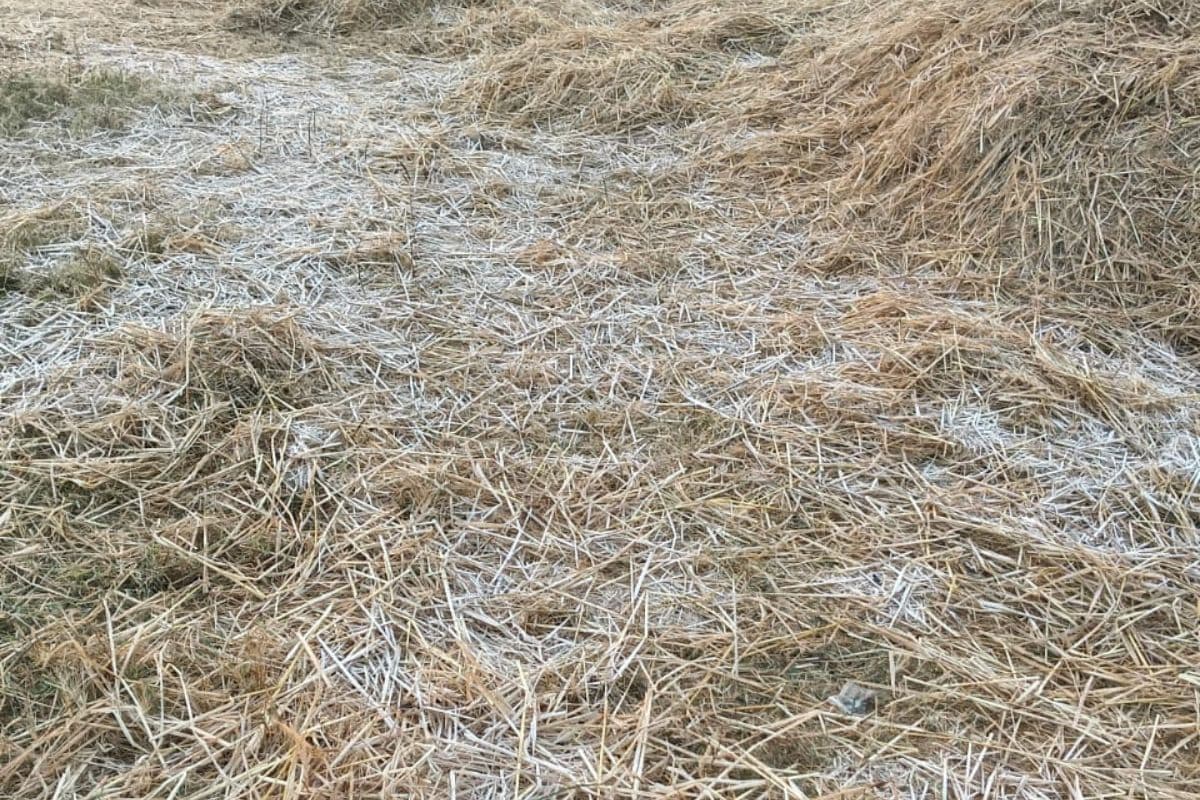 Ranchi Weather: रांची में हाड़ कंपा रही ठंड, कांके का तापमान 2.4 डिग्री, तो नामकुम का 2.5 डिग्री सेंटीग्रेड