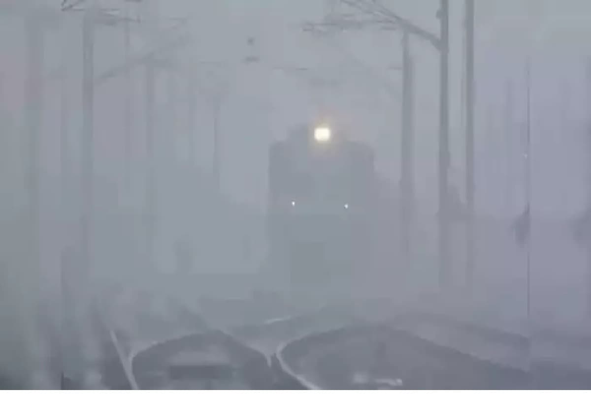 कुहासे ने थामी रेलवे की रफ्तार, 12 घंटा विलंब से पहुंची राजधानी, नौ घंटे मगध एक्सप्रेस