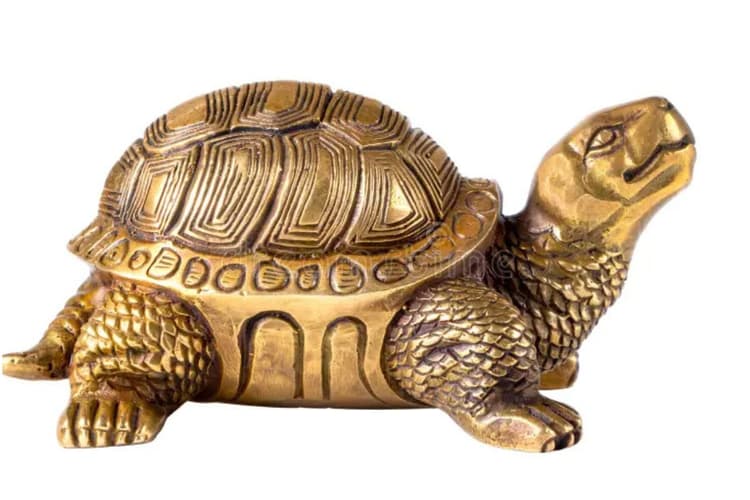 Vastu Tips For Wealth : घर में इस दिशा में रखें पीतल का कछुआ, बरसेगी मां लक्ष्मी की कृपा