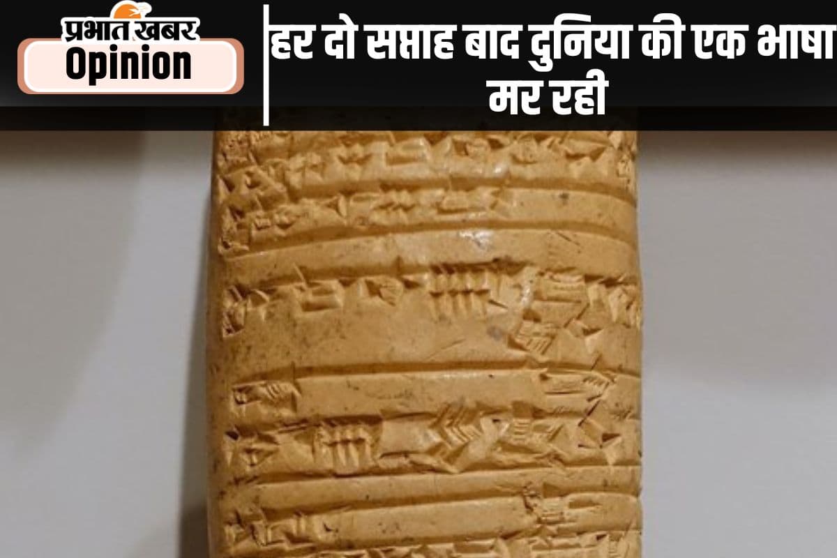 भाषाओं को मरने से बचाना जरूरी