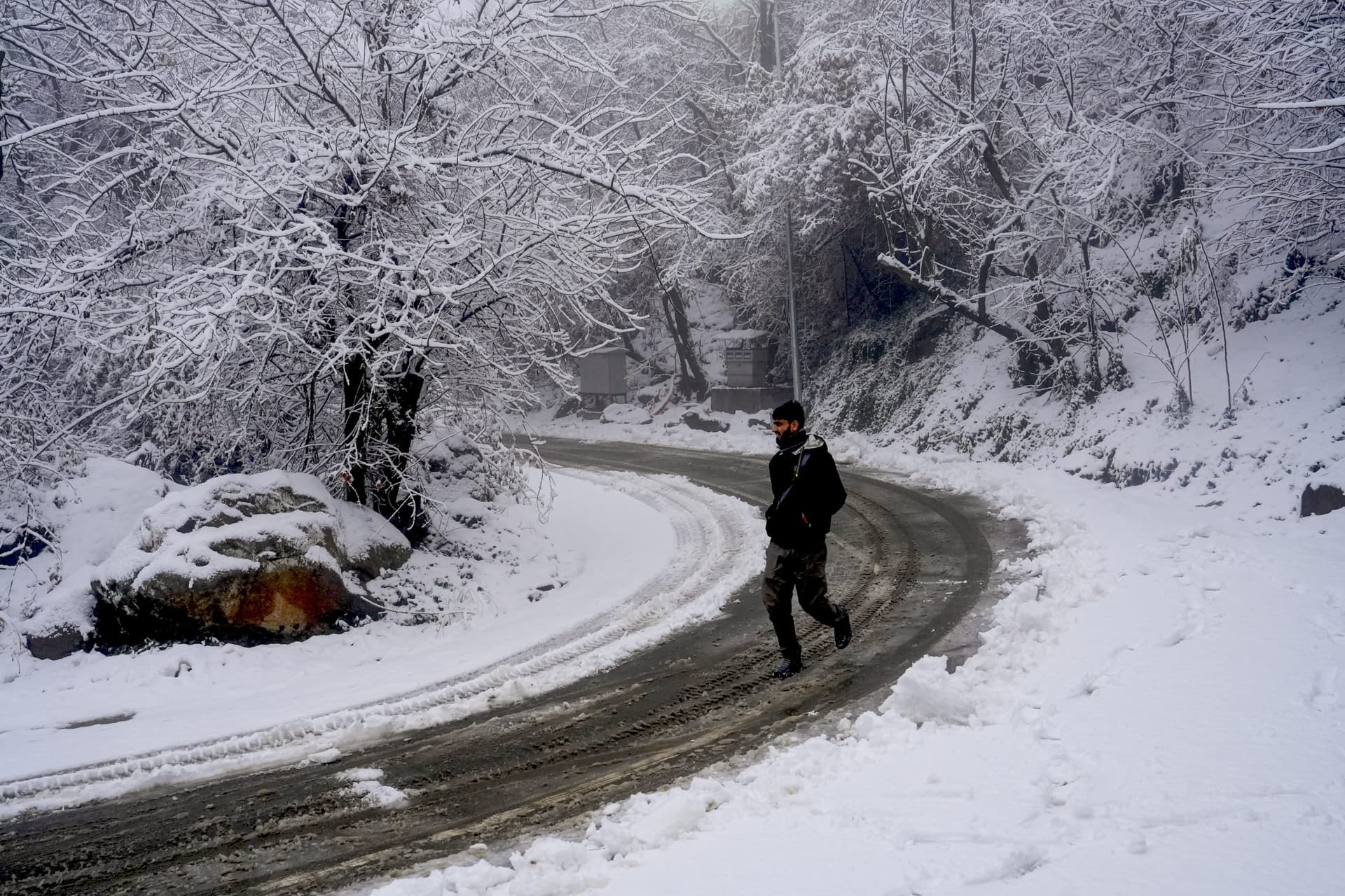 Snowfall Video: बर्फबारी से सफेद चादर में लिपटी राजौरी, किसी वंडरलैंड से कम नहीं है यह नजारा, देखें वीडियो