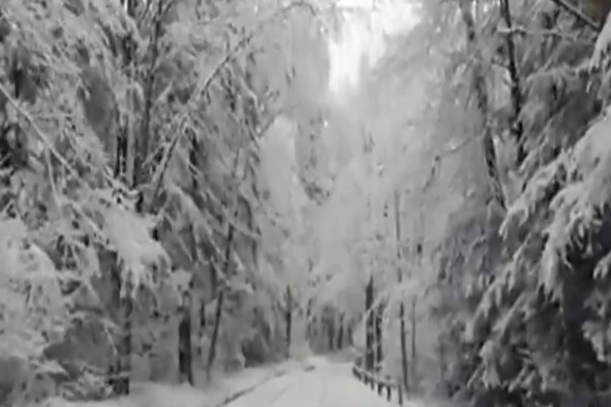 Storm Alert: 48 घंटे तक मूसलाधार बारिश, बवंडर का खतरा, भयंकर बर्फीले तूफान की चपेट में अमेरिका