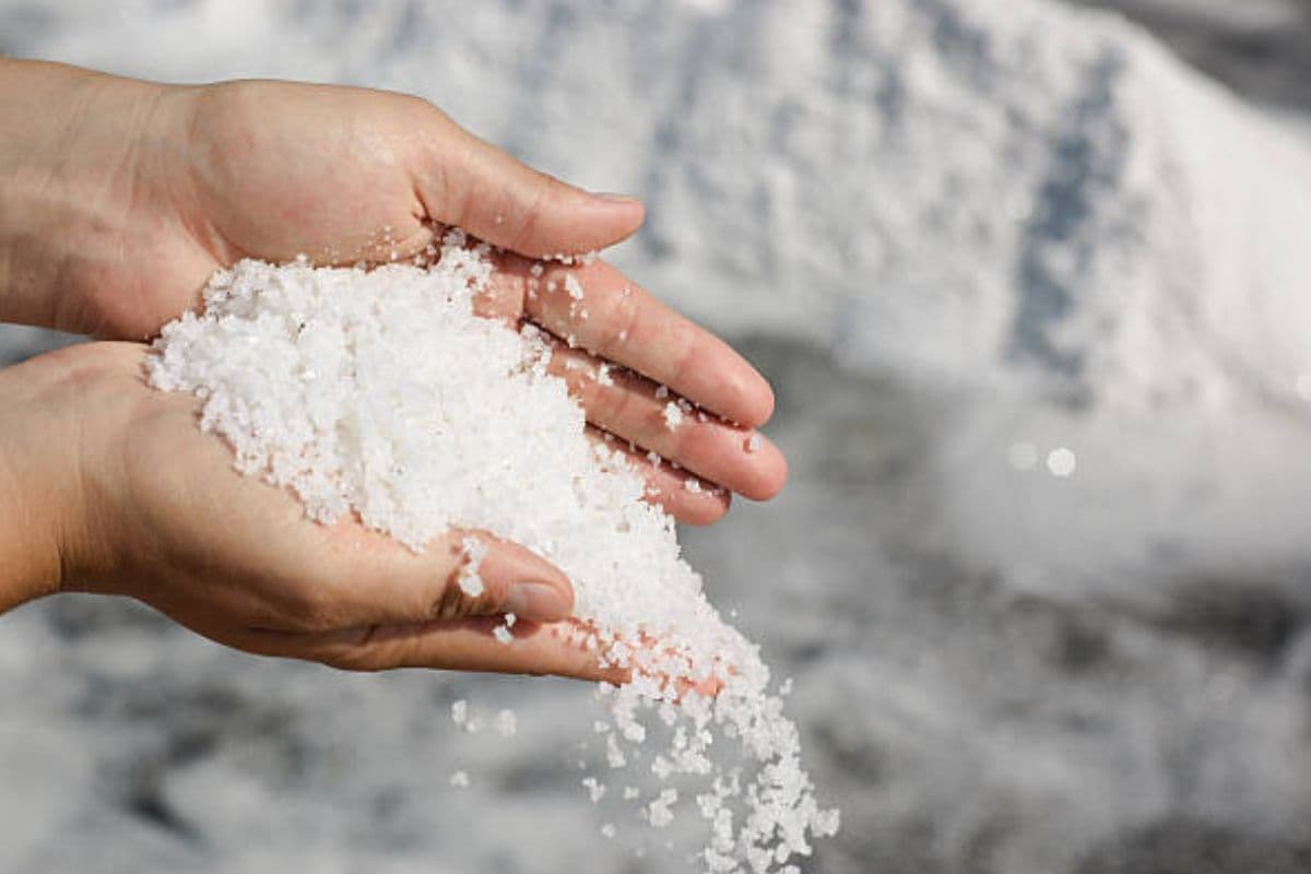 Astro Tips: सिर्फ नमक ही नहीं, इन चीजों को भी हाथ में देने से बचें, नहीं तो रूठ जाएगी घर की बरकत