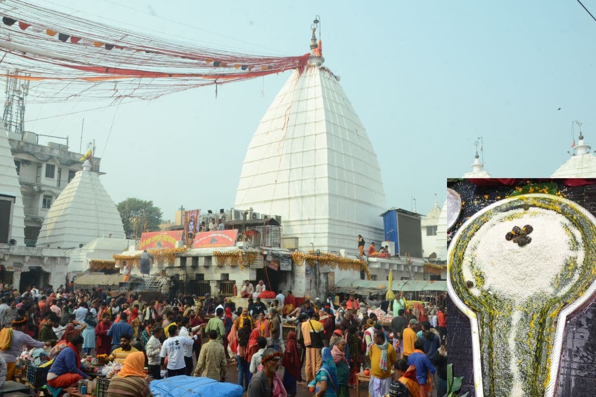 Makar Sankranti 2025: मकर संक्रांति पर देवघर में बाबा बैद्यनाथ की विशेष पूजा, सुबह में तिल तो दोपहर को लगा खिचड़ी का भोग