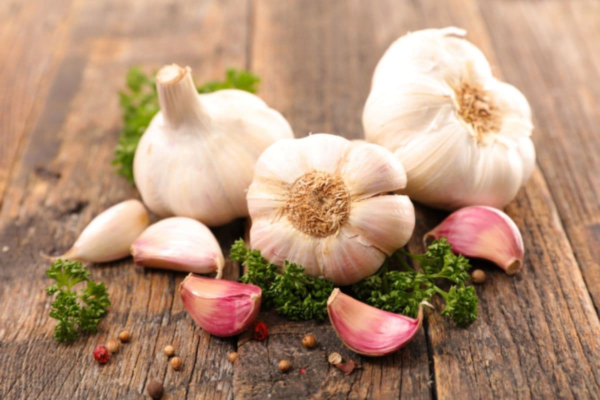 Health Tips: खाली पेट लहसुन खाने से मिलते हैं चमत्कारी फायदे, जानिए कैसे बनाता है शरीर को मजबूत