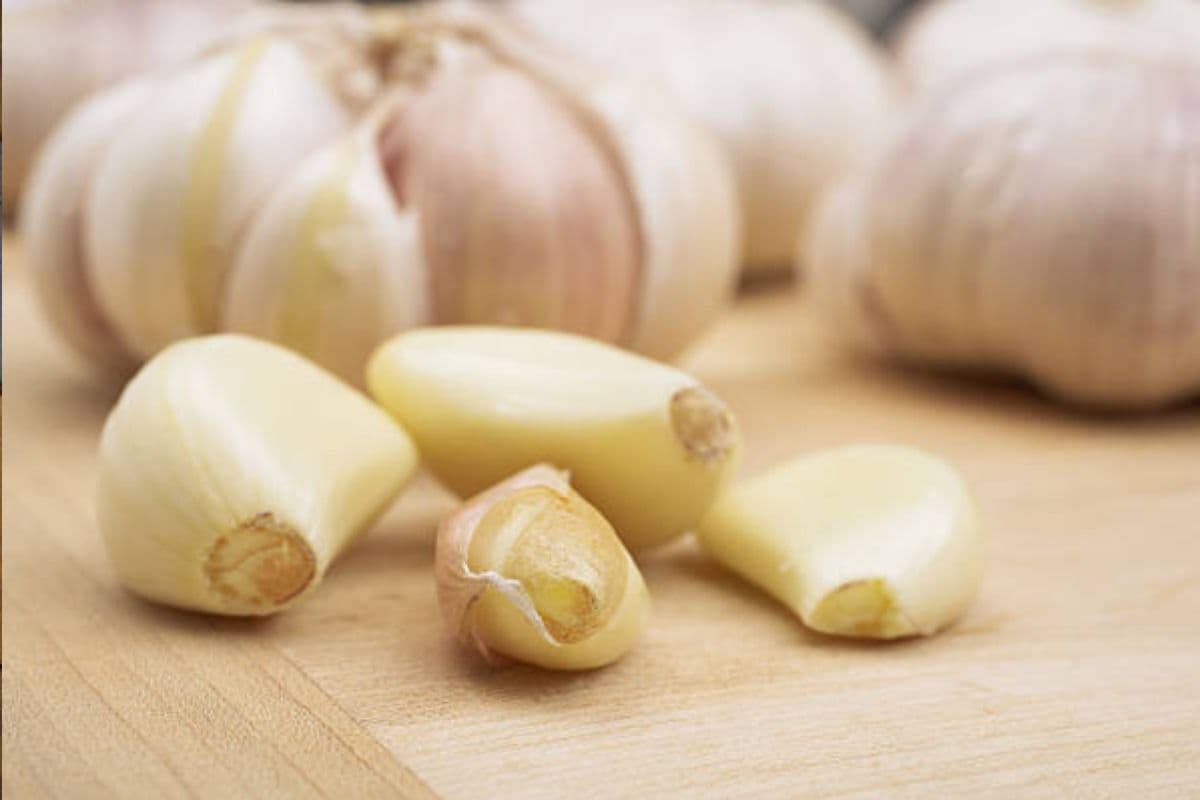 Benefits of Raw Garlic: सुबह खाली पेट इस तरह खाएं कच्चा लहसुन, इन 5 बीमारियों से मिलेगा छुटकारा