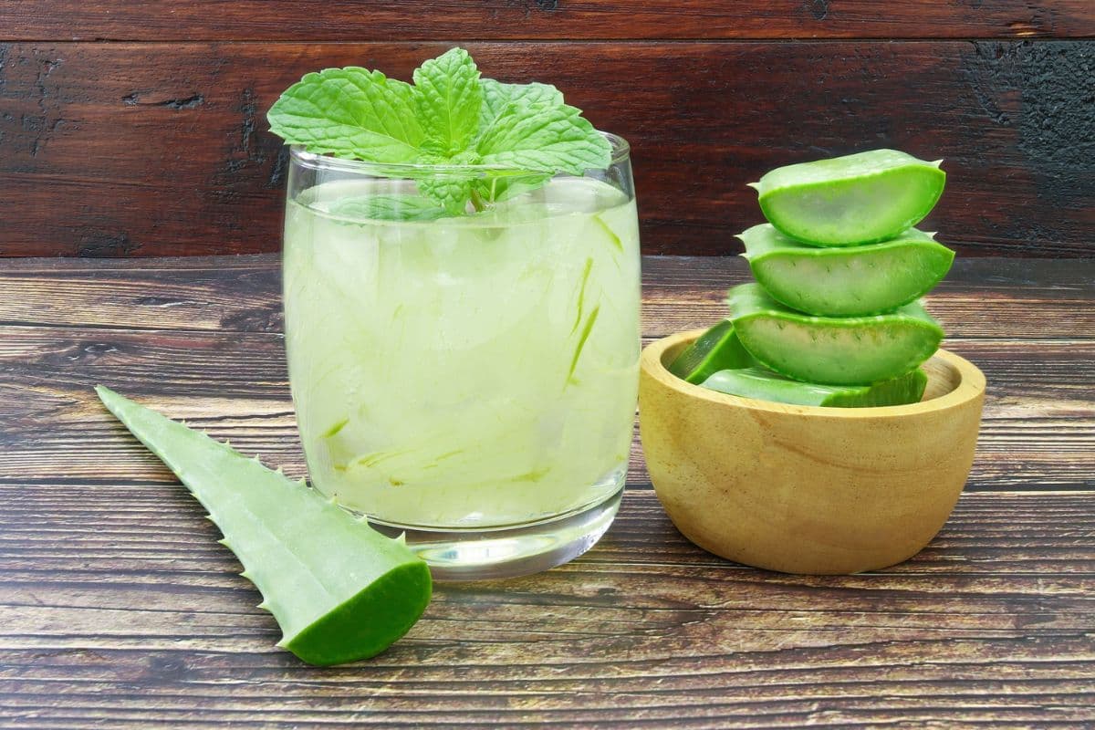Benefits of Alovera: हैरान हो जाएंगे एलोवेरा के ये 5 चमत्कारी फायदे जानकर
