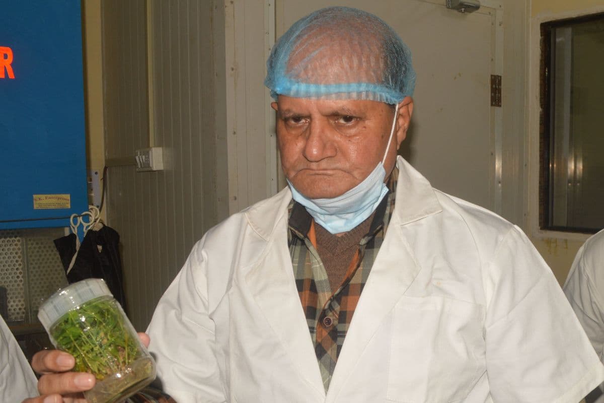 बांस के पौधों की गुणवत्ता में सुधार, भागलपुर में जिनोमिक डीएनए टेस्ट से नई तकनीकी शुरुआत