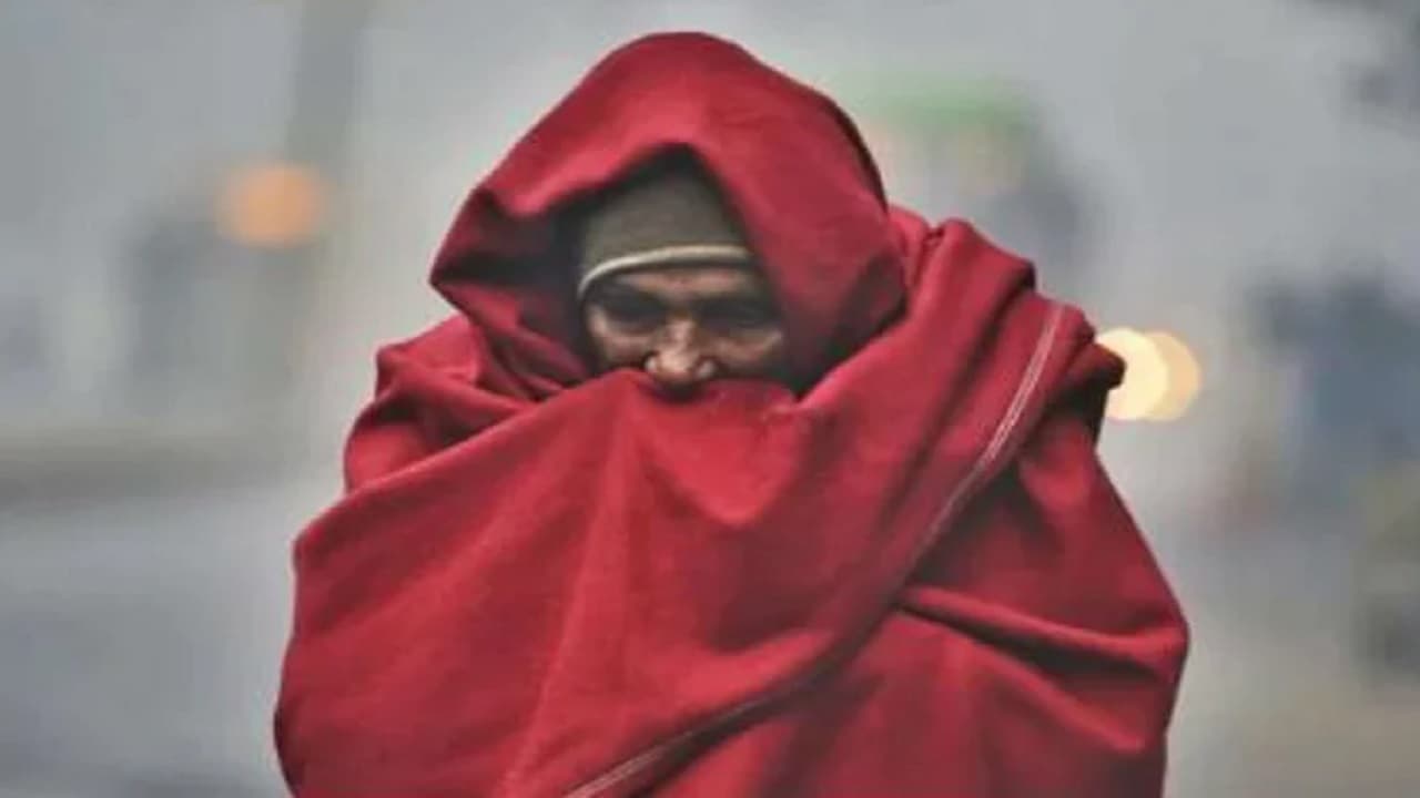 Bihar Weather: बिहार में कनकनी वाली ठंड इस दिन से घटेगी, भागलपुर-पूर्णिया में भी खिलेगी धूप...