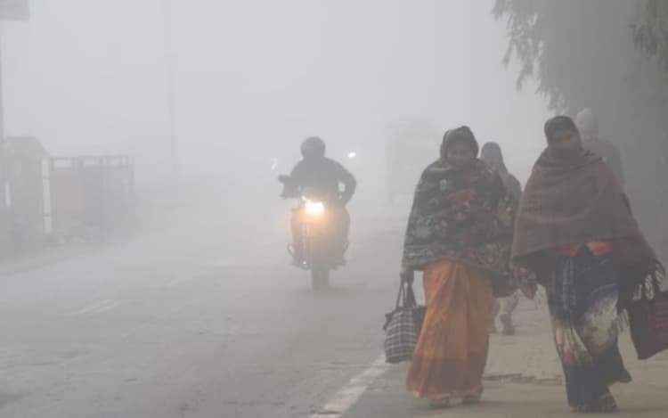 Bihar Weather: बिहार के 29 जिलों में अगले 24 घंटे तक जारी रहेगा कंपकंपी और कुहासा का दौर, IMD ने जारी किया येलो अलर्ट