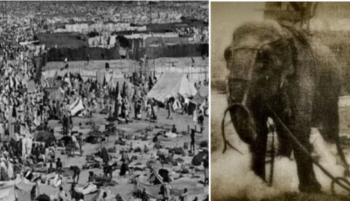 जब कुंभ में बेकाबू हुआ था हाथी, प्रयागराज में 500 लोगों की मौत के बाद लगे थे ये प्रतिबंध