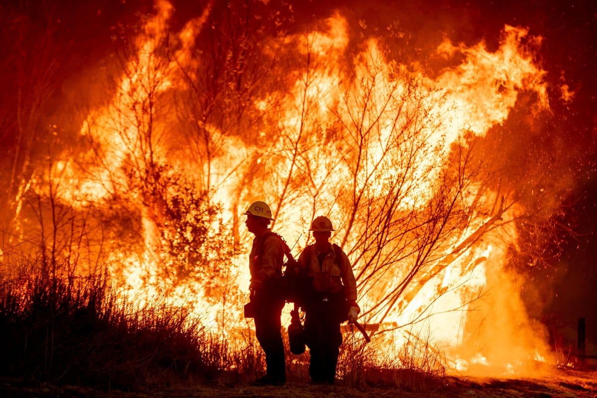 Los Angeles Wildfires: अर्नोल्ड श्वार्जनेगर समेत कई सितारों के घर मंडरा रहा आग का खतरा, अब तक 12000 से ज्यादा इमारतें जलकर खाक, Photos
