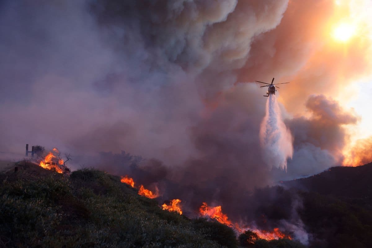 California Wildfire: हॉलीवुड तक पहुंची जंगल की आग, कई सेलिब्रिटीज के घर भी स्वाहा, Photos