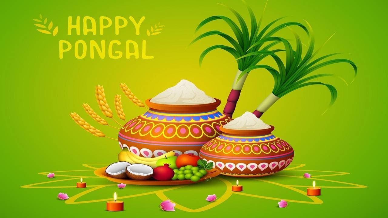 Happy Pongal Best Wishes 2025 : पोंगल पर भेजें ये खास तरह से शुभ संदेश
