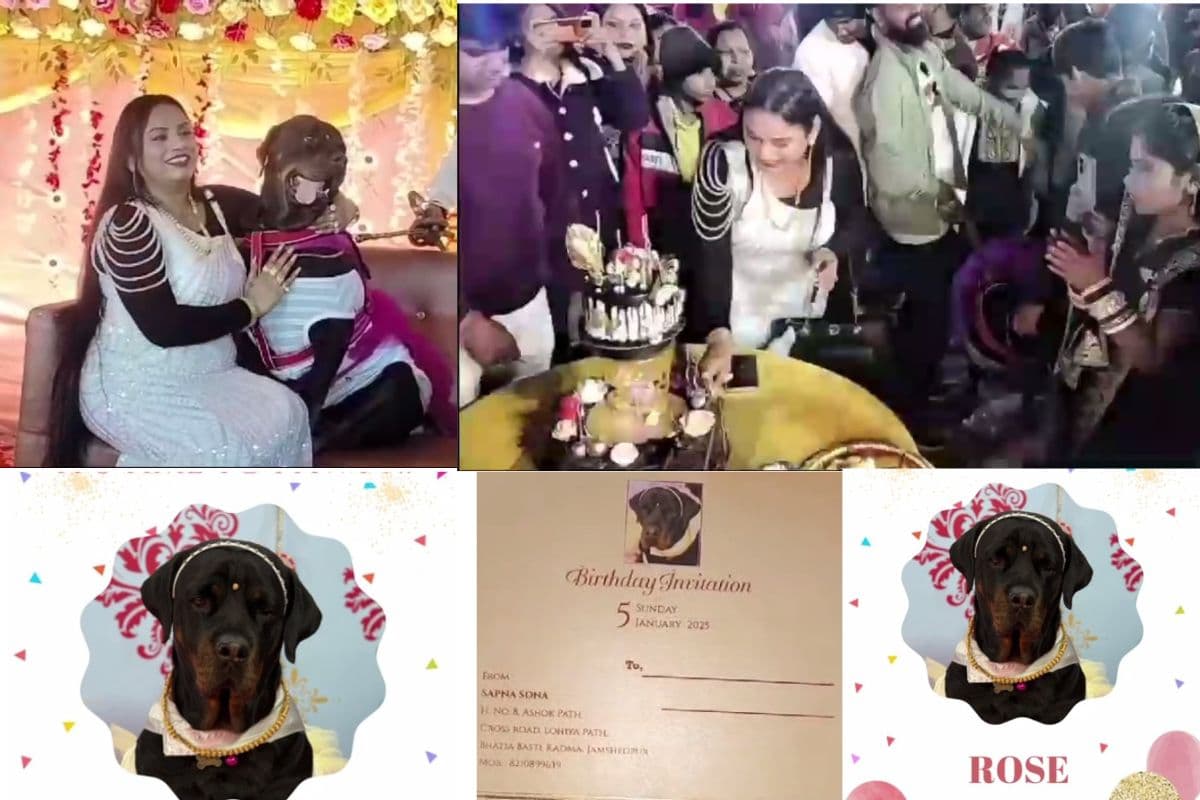 Watch Video: 40 हजार का केक, 300 लोगों को पार्टी, डॉगी ‘रोज सोना’ का शानदार बर्थडे देख कह उठेंगे वाह!