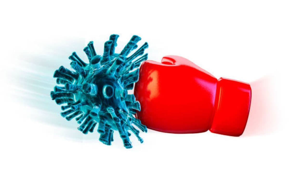 Health Tips: इन उपायों से मजबूत करें अपना इम्यून सिस्टम, बीमारी भूलकर भी नहीं आएंगी आपके करीब