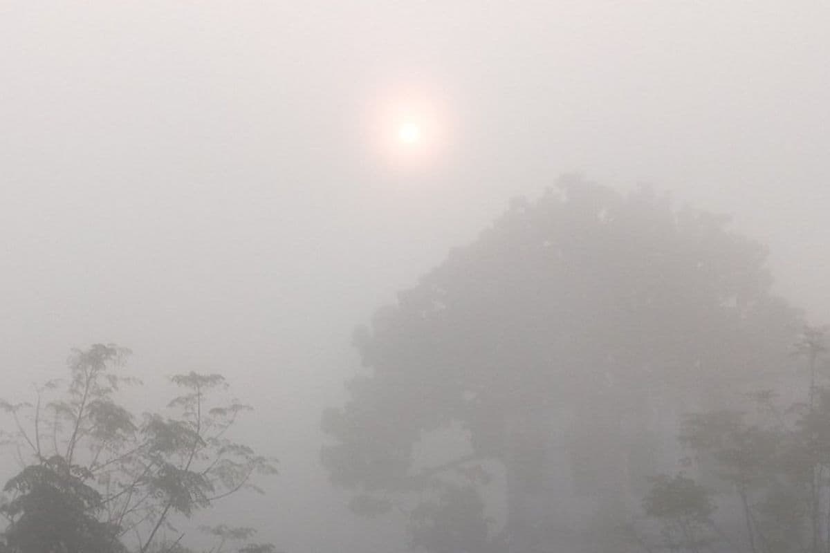 झारखंड का अधिकतम तापमान 34 डिग्री के करीब, न्यूनतम तापमान भी चढ़ा, जानें कैसा रहेगा कल का मौसम