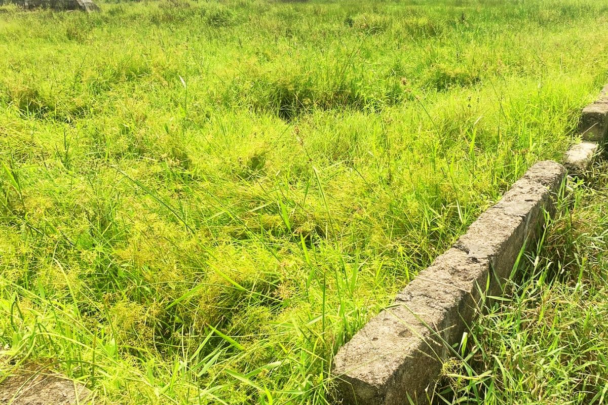 रांची में जमीन देने के नाम पर स्कैम : बिहार, झारखंड समेत 4 राज्यों के 413 पूर्व सैनिकों को लगाया 22 करोड़ का चूना