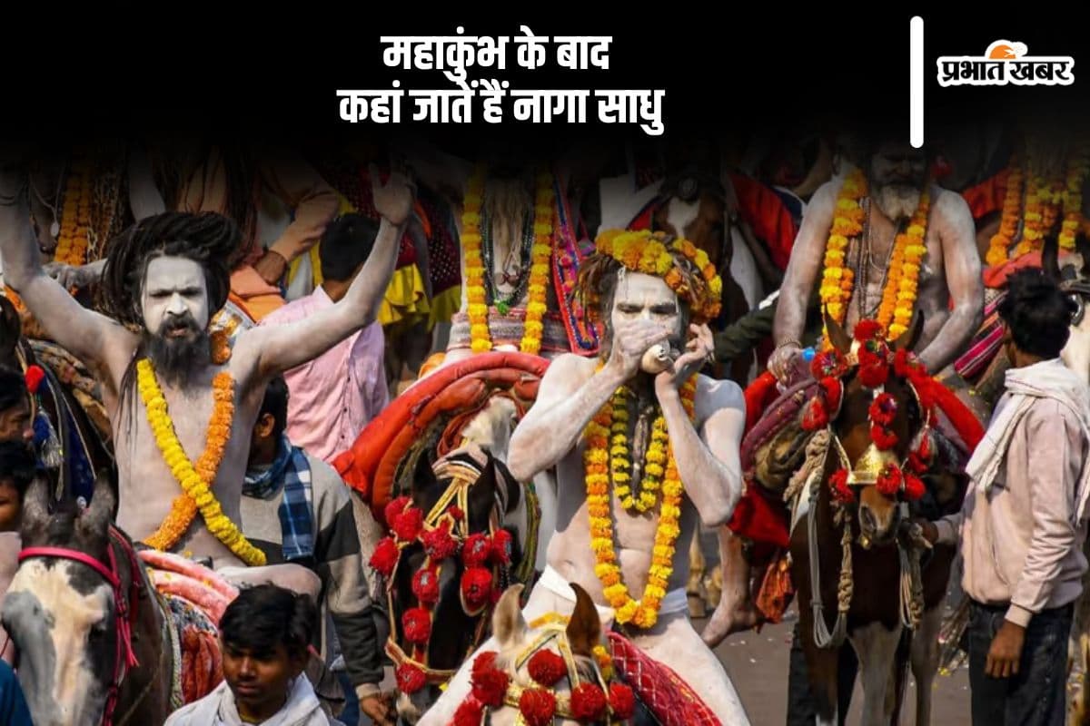 महाकुंभ के समापन के बाद कहां चले जाते हैं नागा साधु, यहां से जानें