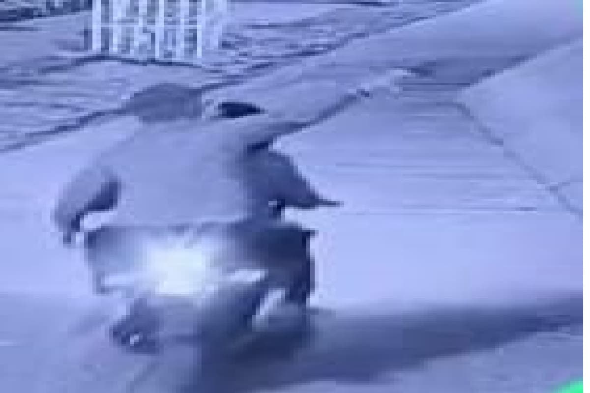 Crime News: ठक्कर बप्पा हॉस्टल के गेट पर वर्चस्व को लेकर गोलीबारी, तीन खोखा बरामद