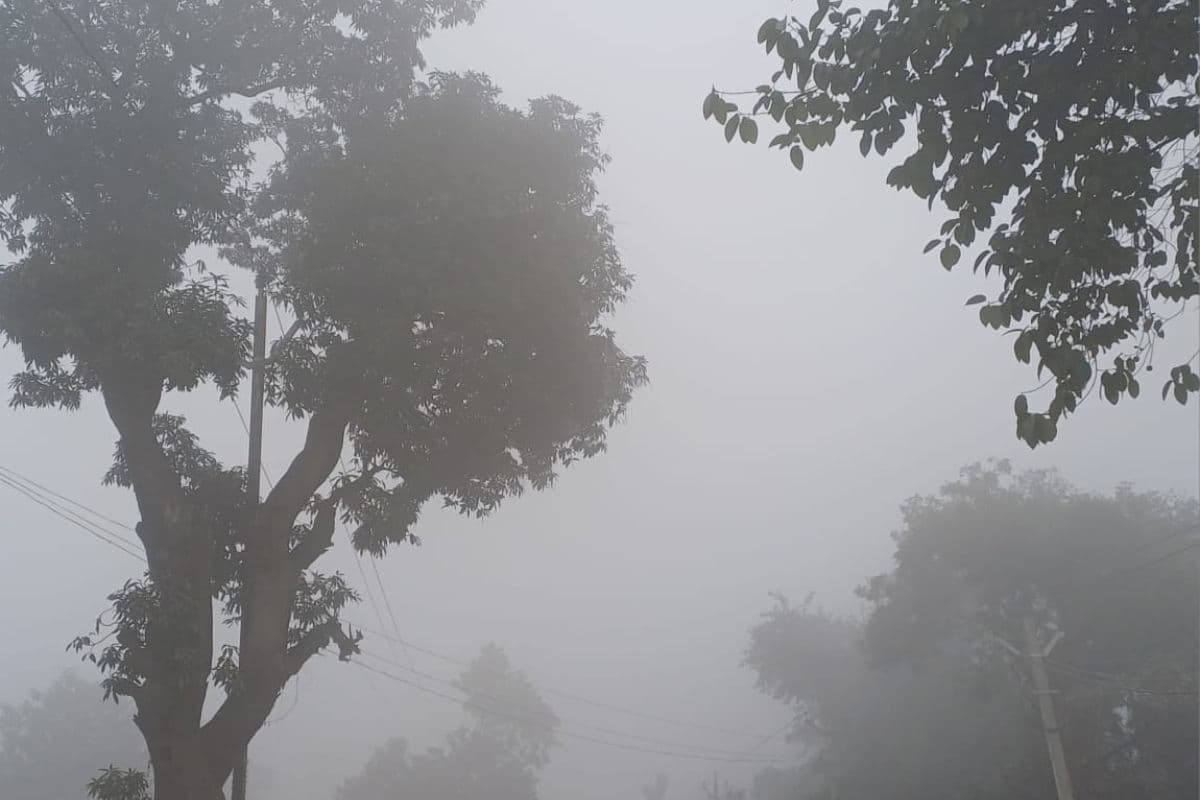मुजफ्फरपुर में हाड़ कंपा देने वाली ठंड, शीतलहर और कोहरे ने बढ़ाई मुश्किलें
