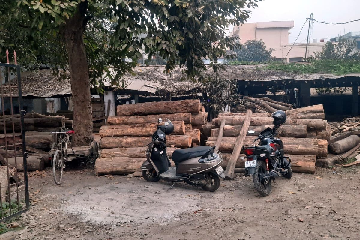 लकड़ी और फर्नीचर से करोड़ों का कारोबार, मुजफ्फरपुर के कारीगरों को सरकारी मदद का इंतजार