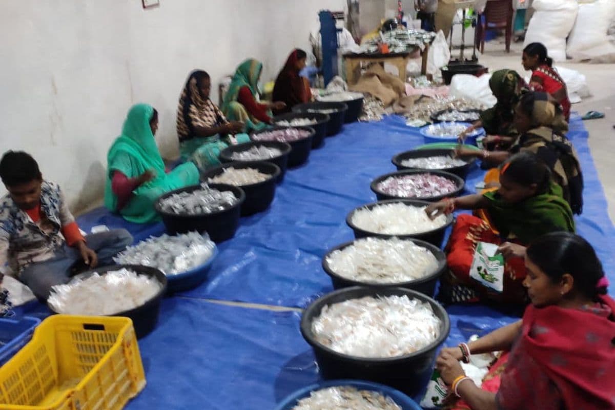 जीविका दीदियों ने बीज उत्पादन में बनाया नया रिकॉर्ड, लाखों की आमदनी और रोजगार के अवसर