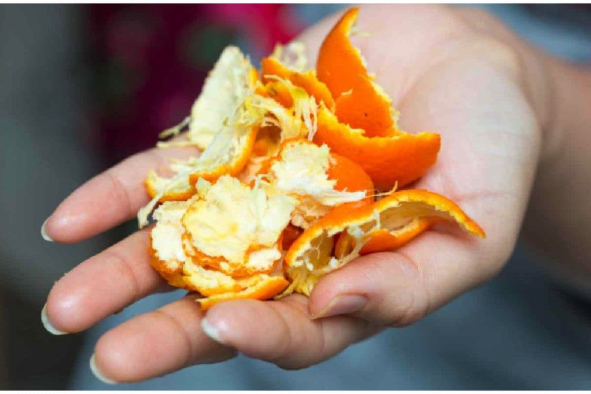 Orange Peel for Nail Whitening : संतरे के छिलके से हटाएं नाखूनों के पीले दाग, जानें आसान तरीका