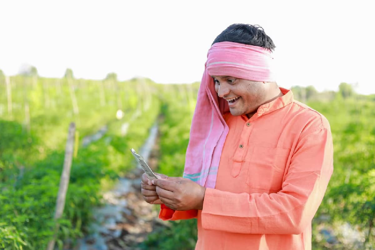 PM KISAN: नए साल पर आने वाला पीएम किसान की 19वीं किस्त का पैसा, ऐसे चेक करें स्टेटस