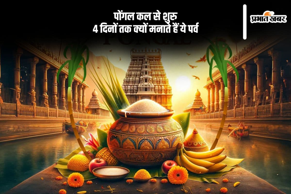 कल से शुरू होगा पोंगल, जानें कितने दिनों तक चलेगा ये उत्सव
