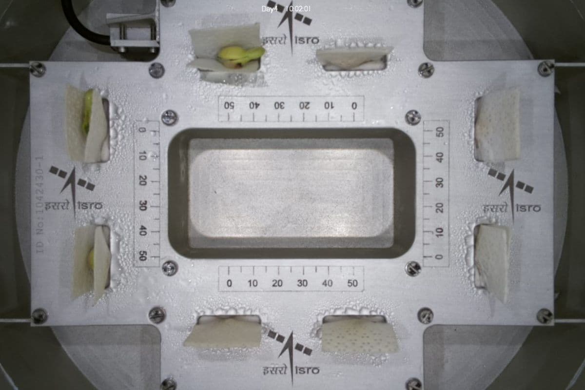 अंतरिक्ष में बीजों का उगना, इसरो ने दिखाया विज्ञान का नया चमत्कार!