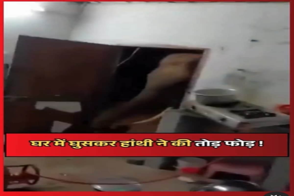 Viral Video: घर में घुसने की कोशिश में हाथी ने मचाई तबाही, वायरल हुआ वीडियो