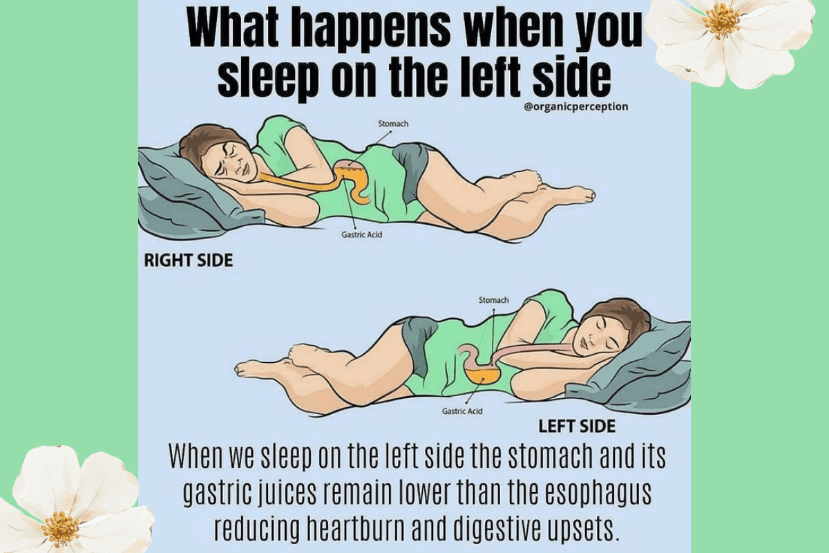 Which Sleeping position is best left or right side: लेफ्ट या राइट किस या करवट लेके सोना होता है सही? Which Sleeping position is best left or right side: लेफ्ट या राइट किस या करवट लेके सोना होता है सही?