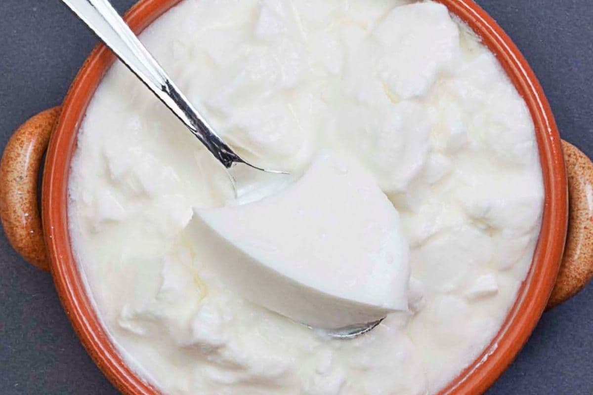 Curd in Morning: सुबह-सुबह दही खाने से मिलेगा इन बीमारियों से छुटकारा, आज से ही नाश्ते में शामिल करें