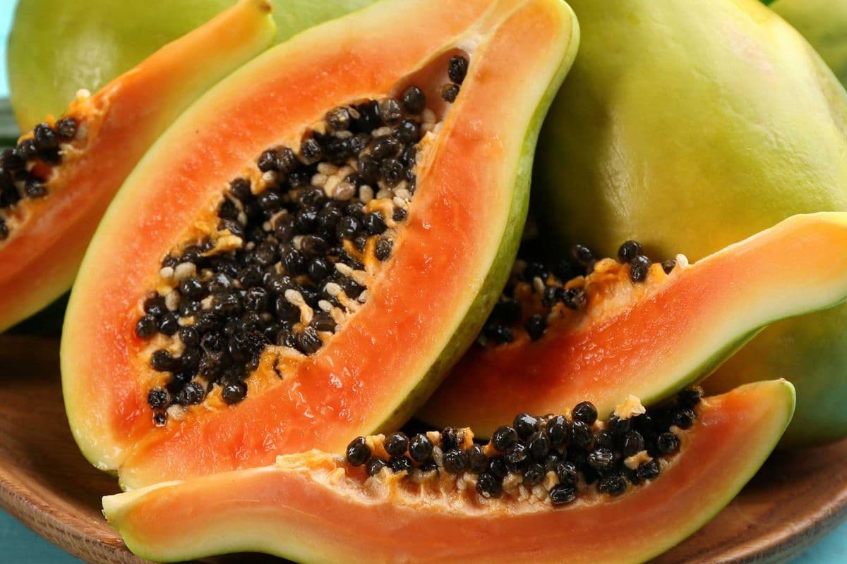 Benefits of Papaya Seeds: पपीते का बीज  फेंकने से पहले 10 बार सोचें, मिलेंगे ये 5 जबरदस्त फायदे