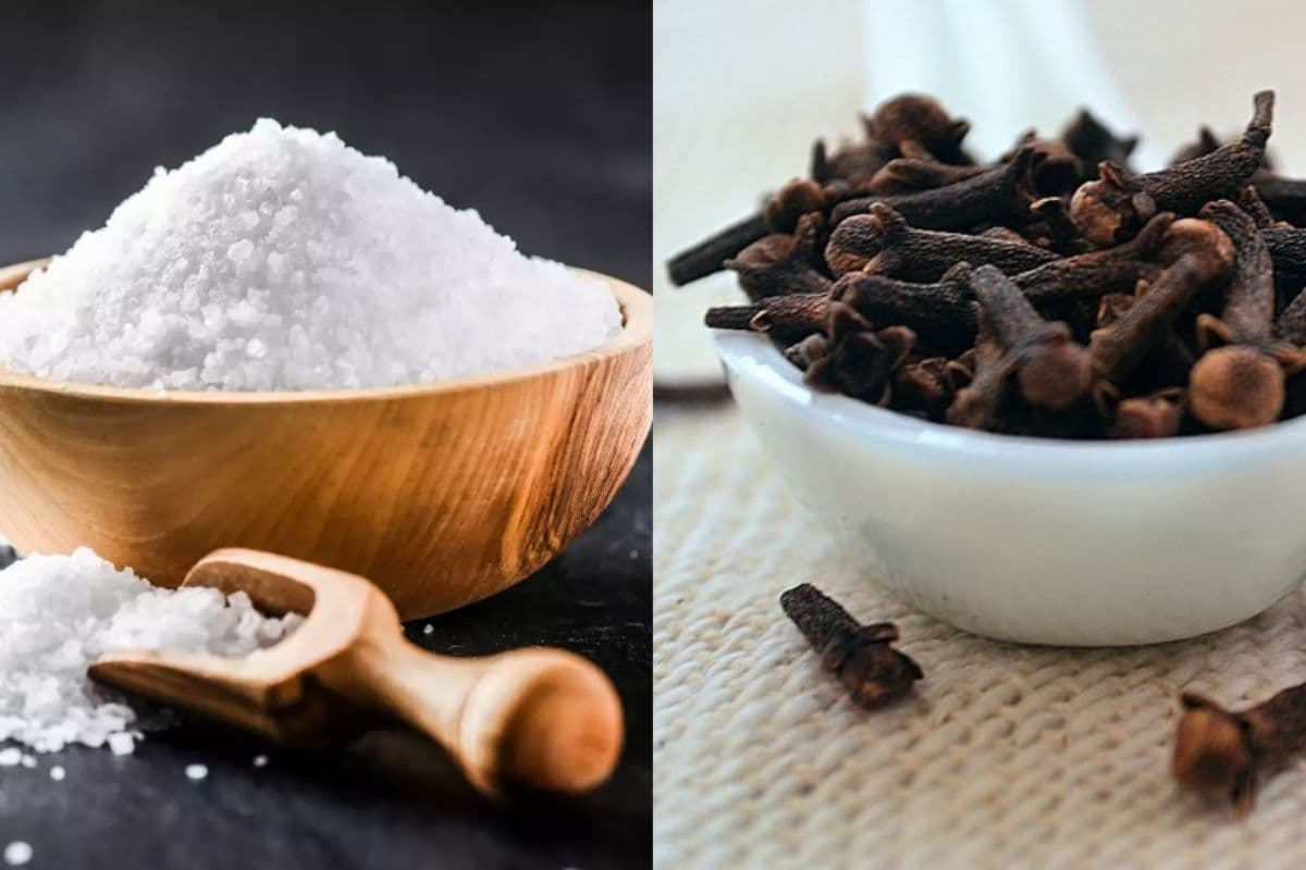 Laxmi Blessings Remedies : नमक लौंग से करें यह उपाय, बरसेगी मां लक्ष्मी की कृपा