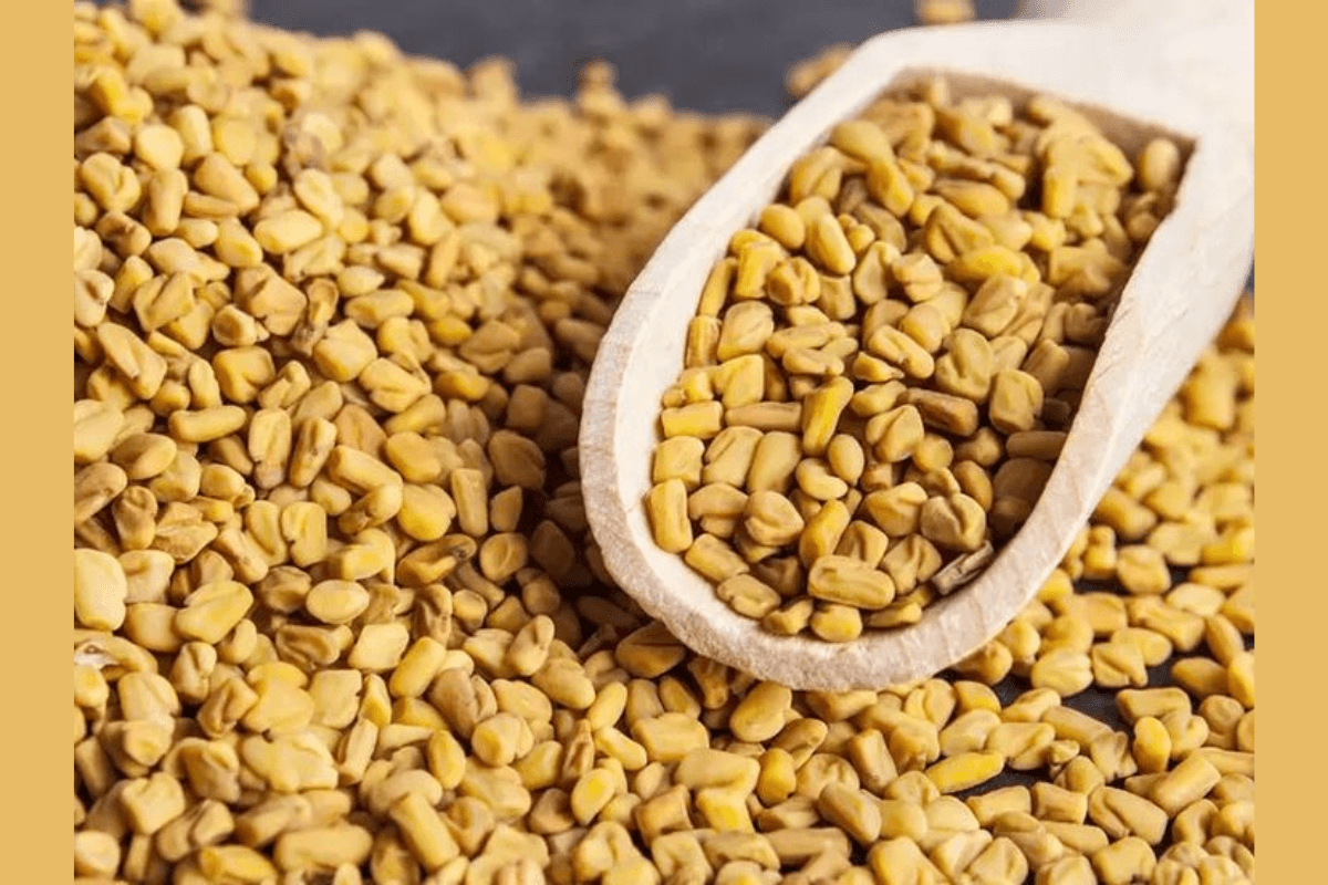 How to use Fenugreek Seed for Hair: मेथी दाने को उबालकर या पीसकर बालों पर कैसे लगाएं? जानें आसान तरीके