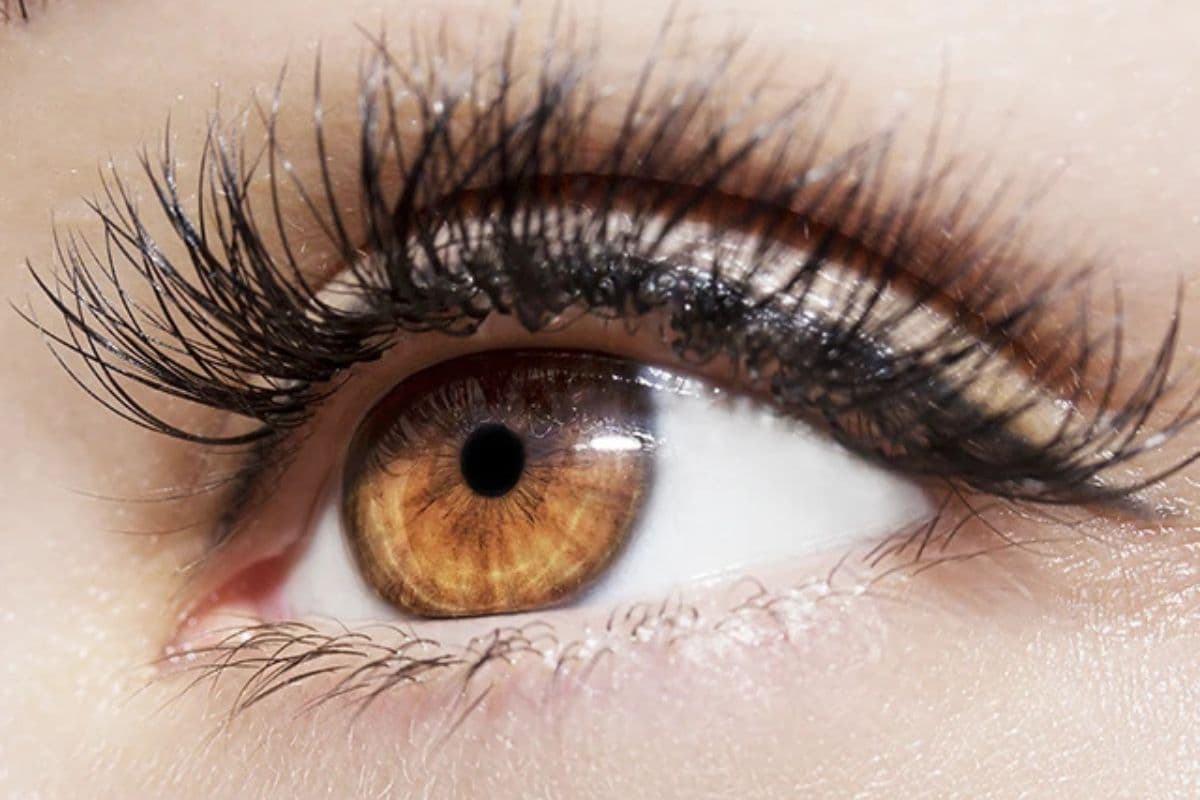 Eye Color Personality: आंखों के रंग से जानें कैसी है आपकी पर्सनालिटी