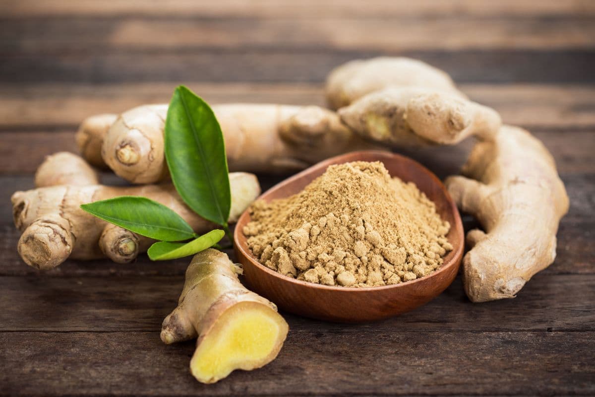 Health Tips: рдмреАрдорд╛рд░рд┐рдпреЛрдВ рд╕реЗ рдорд┐рд▓реЗрдЧрд╛ рдирд┐рдЬрд╛рдд, рдЖрдЬ рд╕реЗ рд╣реА рд╢реБрд░реВ рдХрд░ рджреЗрдВ рдЕрджрд░рдХ рдХреЗ рдкрд╛рдЙрдбрд░ рдХрд╛ рдЗрд╕реНрддреЗрдорд╛рд▓