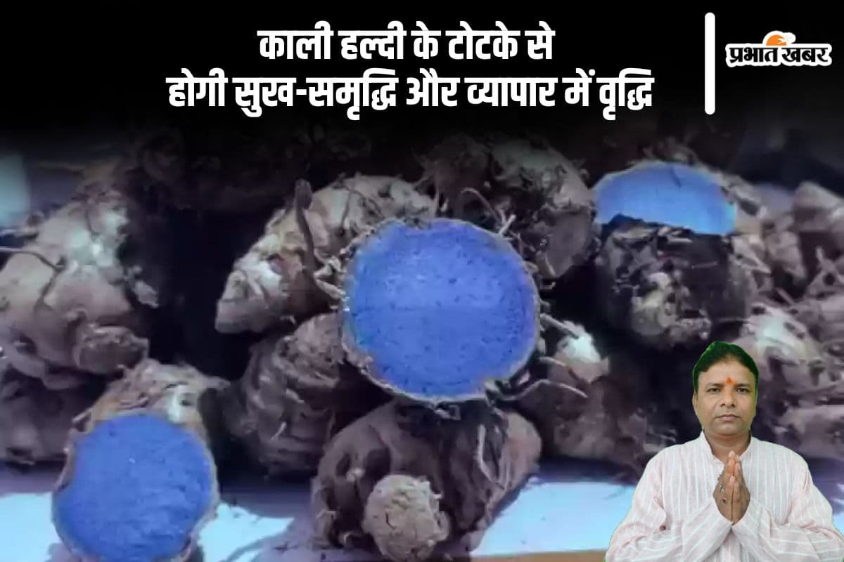 काली हल्दी के टोटके दिलाएंगे आपको सुख-समृद्धि, जानें सरल उपाय