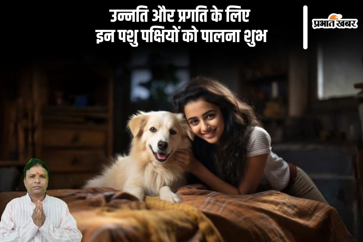 Vastu Tips: कौन सा पालतू जानवर आपके घर ला सकता है गुडलक, खुशहाली और समृद्धि