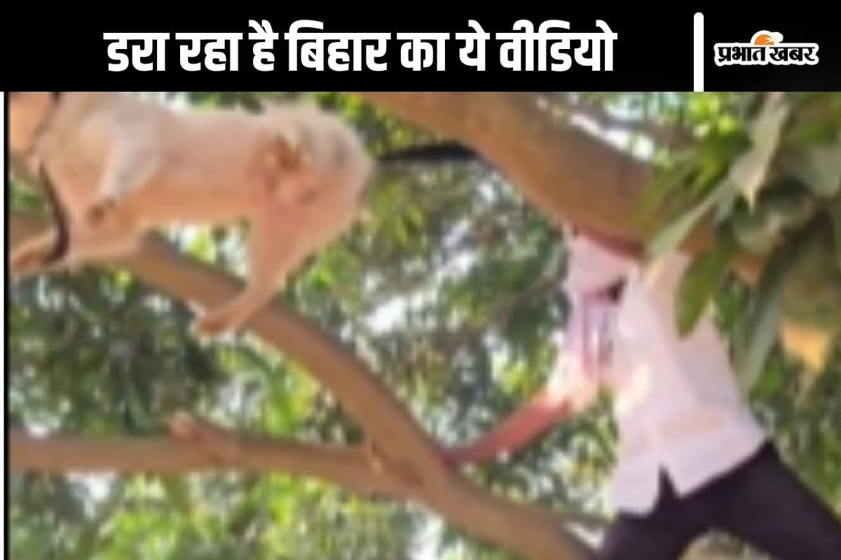 Viral Video : कुत्ते को रस्सी से बांधकर लटकाया, आग में झुलसाया, बिहार के आलम का ये वीडियो कर रहा है विचलित
