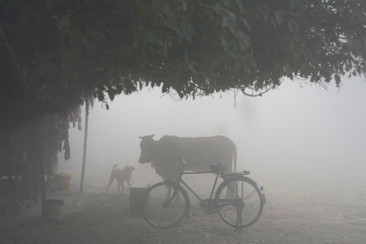 Bihar Weather: कड़ाके की ठंड और कनकनी से इस दिन तक नहीं मिलेगी राहत, जानें IMD का अपडेट