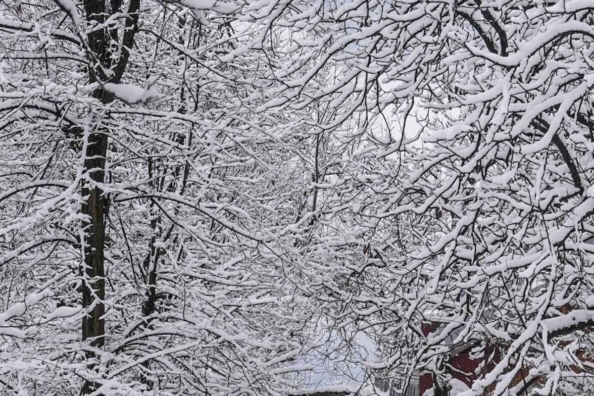 Snowfall: पहाड़ों में फिर शुरू हुई बर्फबारी, खिले सैलानियों के चेहरे, मैदानों में बढ़ेगी ठंड